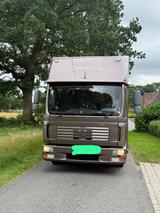 MAN Pferdetransporter 4 Pferde mit Wohnabteil - Tier-/Pferdetransport 4 pferde