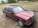 Mercedes-Benz Mercedes Benz 190E 190er W201 Avantgarde R... - Mercedes-Benz 190: Avantgarde