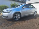 Volkswagen Golf 1.6 TDI CUP Cabriolet  - Volkswagen Golf mit Diesel-Antrieb: Cabrio, 1.6