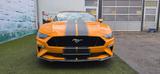 Ford Mustang GT  5.0 V8 Aut.*Leder*Navi*LED*SHZ*Kam.* - Ford Mustang mit Benzin-Antrieb: Cabrio, 5.0