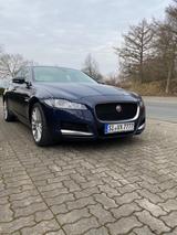 Jaguar XF 30d 300PS Prestige Automatik  - Jaguar: X300
