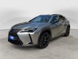 Lexus LEXUS UX 250h UX Hybrid 4WD Midnight - graue Lexus UX
