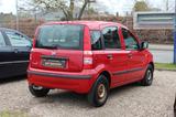 Fiat Panda 1.2 8V Classic*1.Hand*Nichtraucher* - Fiat Panda mit Benzin-Antrieb: Limousine, Schaltgetriebe