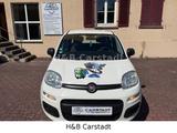 Fiat Panda Pop - Fiat Panda bis 5.000 Euro