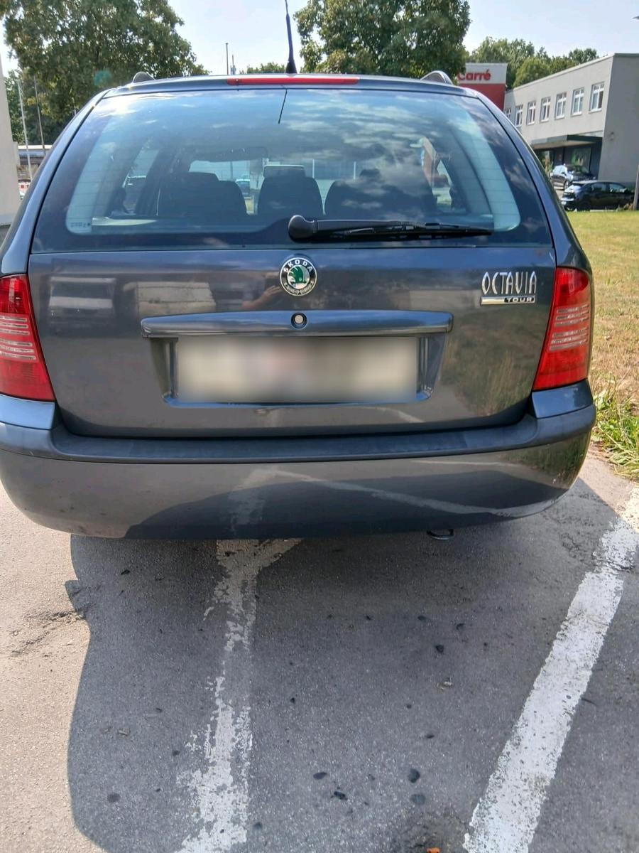 Skoda Octavia 2009 — rear view