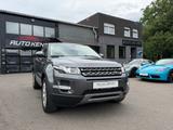 Land Rover RR Evoque Pure 1Hd/Leder/Xenon/PDC/NUR74TKM/18 - Land Rover in Duisburg