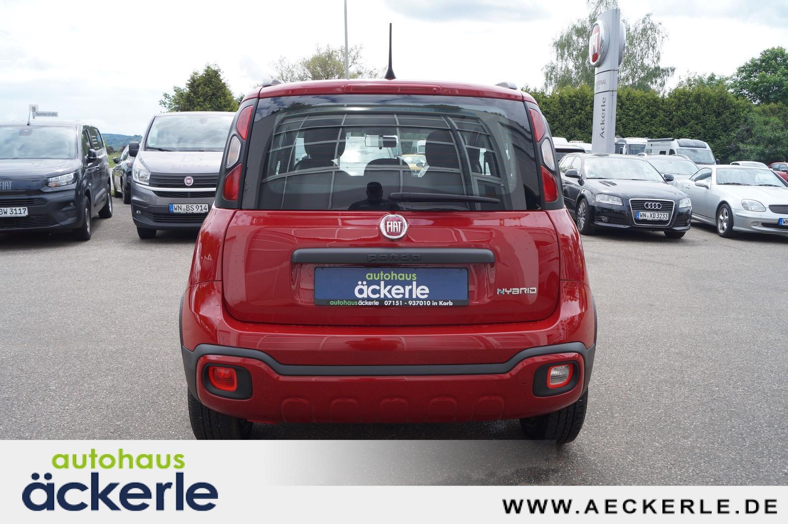 Fiat Panda Cross Red I Sonderedition "RED" I Allwette