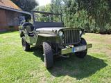 Jeep Hotchkiss M201 Willys Jeep Lizenzbau - Jeep Willys Gebrauchtwagen