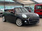 MINI Cooper Cabrio/1.Hand/LED/Leder/Navi/Sportsitze - MINI Cooper Cabrio aus 2016