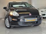 Fiat Punto Pop*1 HAND*KLIMA*TÜV* - Fiat Punto Benziner Gebrauchtwagen