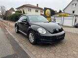 Volkswagen Beetle Käfer 1.2 TÜV/AU neu Inspektion neu - Volkswagen: Kaefer