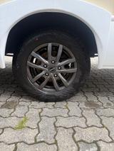 Ahorn Alaska TE Plus  - Ahorn Alaska