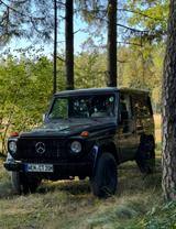 Mercedes-Benz G 230 - Mercedes-Benz G 230 von privat
