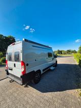 Etrusco CV600 DB FIAT Complete Selection / AHK - Offers matching your search criteria