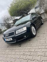Audi A8 D3 3,7 V8 - Audi A8 mit Benzin-Antrieb: Limousine, 3.7