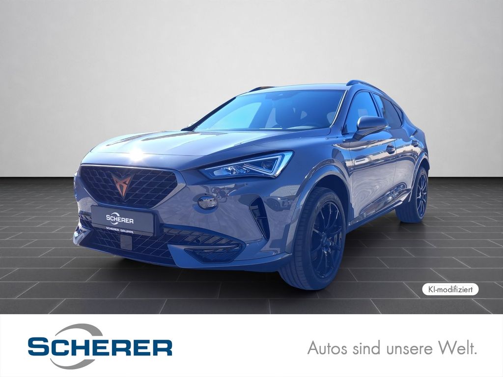 Image of Cupra Formentor