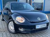 Volkswagen Beetle Lim. Cup*PANO*PDC*KLIMAAUT*SHZ*MFL*TEMPO* - Volkswagen Beetle: Cup