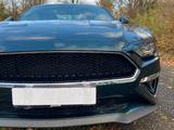 Ford Mustang Bullitt 5.0 V8 GT, deuts. Fahrz. Recaro  - Ford Mustang: Bullitt