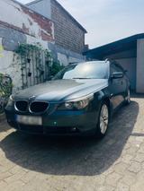 BMW e 61 525d - BMW 525 in Hamm