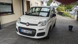 Fiat New Panda 1.2 8V POP POP - weiße Fiat New Panda