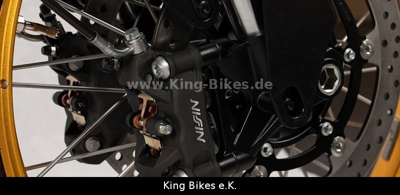 Fahrzeugabbildung VOGE 800DS RALLY/DS800X RALLY -Inkl. 3 Jahre Garantie
