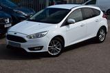 Ford Focus Lim. Business Si-Hzg|Tempo.|Active Stop|BT - Ford Focus: Business
