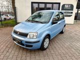 Fiat Panda 1.1 8V Klima Neuer Service - Fiat Panda: Blau