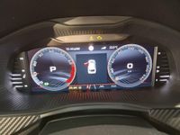 Skoda Kamiq - Vorschau Bild 13