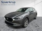 Mazda CX-30 e-SKYACTIV-X 186 PS FWD Exclusive-Line - Mazda CX-30 Exclusive-Line mit Benzin-Antrieb