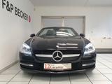 Mercedes-Benz SLK 250d 9G LEDER PANO BIXENON ILS AIRSCARF - mit Diesel-Antrieb: Cabrio