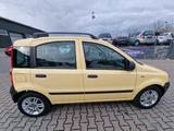 Fiat Panda 1.1 8V Active/2.Ha/TüvNeu/ZV/5.Tür/Alu/ - gebrauchte Fiat Panda aus dem Jahr 2010