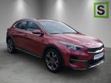 Kia XCeed 1.6 CRDI Spirit / Winterräder - Kia XCeed: Spirit