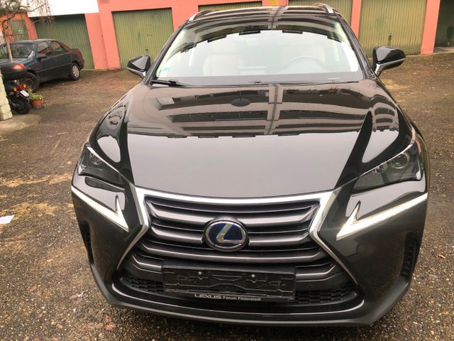 Lexus NX 300h E-Four Executive line Leder Navi Kamera