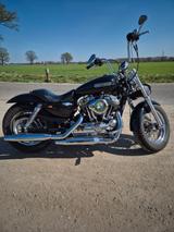 Harley-Davidson Sportster Xl1200 Low  - Angebote
