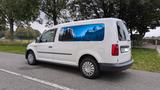 Volkswagen Caddy Maxi Kasten 2,0TDI  Standhzg. ACC,Bluetoot - Volkswagen Caddy Maxi Gebrauchtwagen in Mülheim (Ruhr)