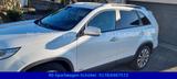 Kia Sorento Platinum Edition 4WD*LEDER*NAVI - gebrauchte Kia Sorento aus dem Jahr 2014