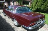Mercedes-Benz 220 SEb Coupe Automatik Oldtimer /Restuariert - Mercedes-Benz S 250 Gebrauchtwagen
