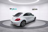 Volkswagen Beetle Sport AUTOMATIK, BI-XENON, SITZHEIZUNG - Volkswagen Beetle: Weiß