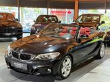 BMW 230i Cabrio M-Sportpaket - BMW 230: I