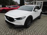 Mazda CX-30 5WGN 2.5L e-SKYACTIV G 140 FWD Prime-Line - Mazda CX-30 in Dresden