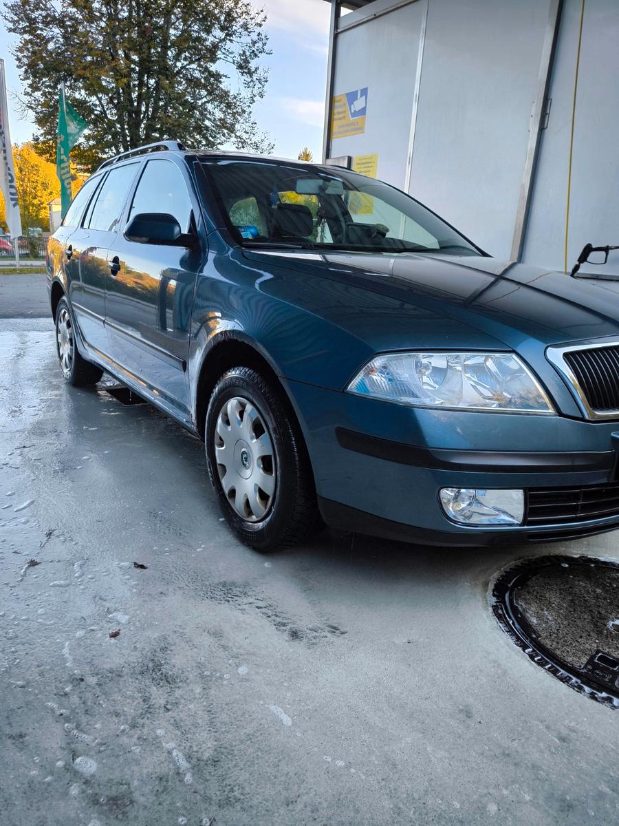 Skoda Octavia 2006 — вигляд ззаду
