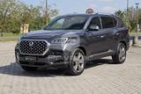 Ssangyong SSANGYONG Rexton 2.2 4WD Icon 8 A/T - gebrauchte Ssangyong Kombis