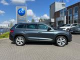 Skoda Kodiaq 2.0 TSI Style 4x4 ACC+Park+3Z+VC+Pano+SH - Skoda Kodiaq in Hamm