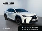 Lexus UX 300h F SPORT Design *LED*ACC*Kamera*SHZ*PDC* - scheckheftgepflegte Lexus UX