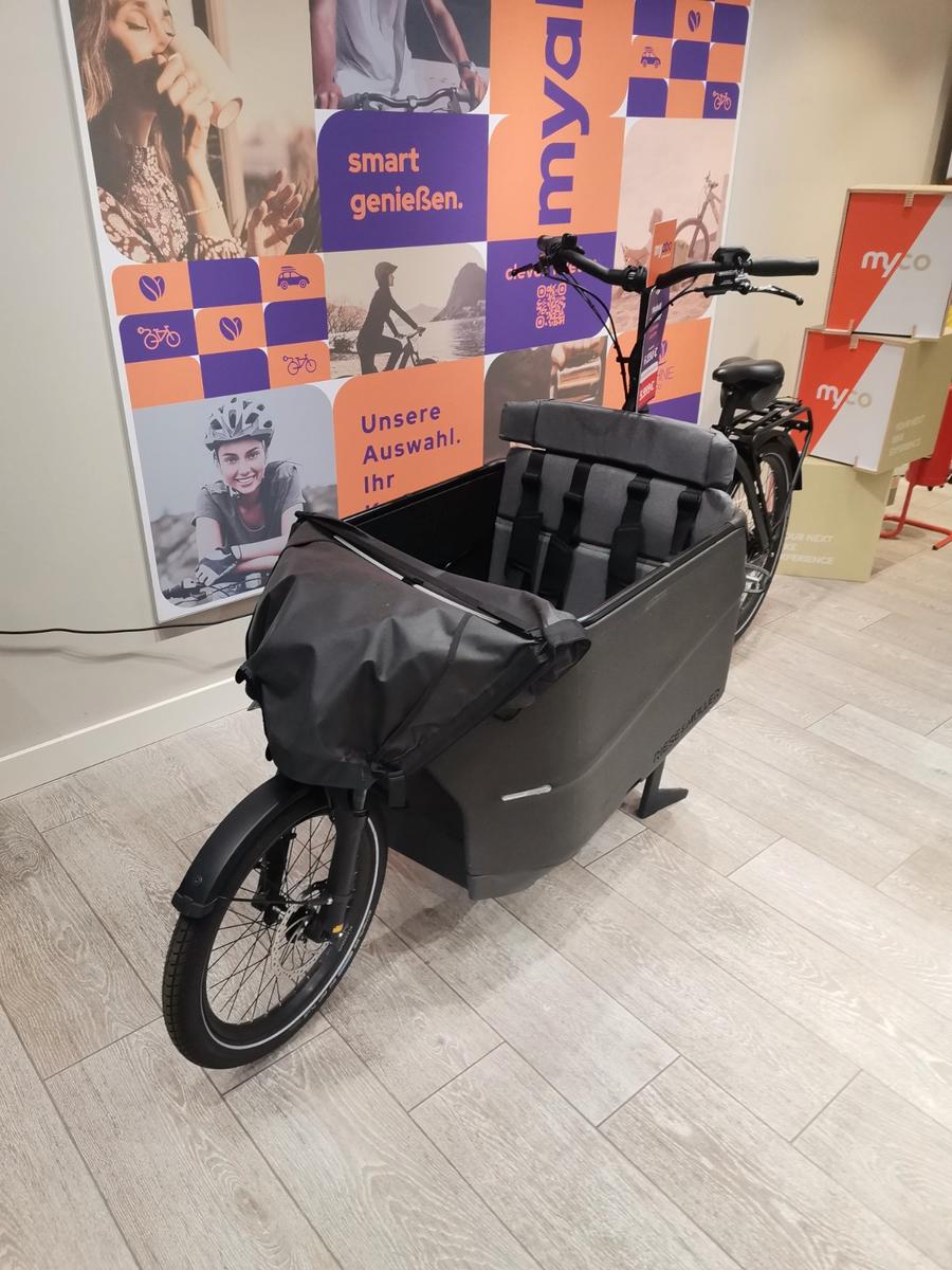 Riese & Müller Packster 70 Vario