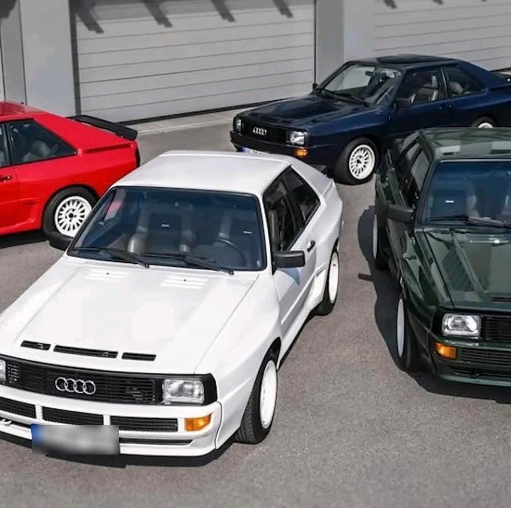Audi SUCHE Audi Urquattro  Sportquattro