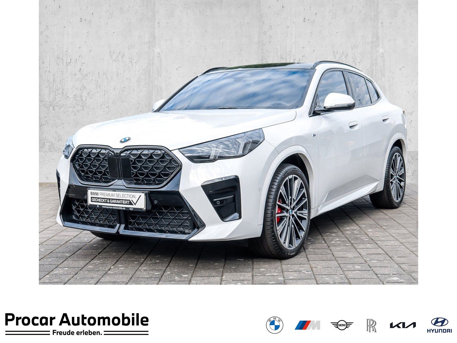 BMW X2 sDrive20i M Sport HUD PANO ACC AHK RFK NAVI foto 1