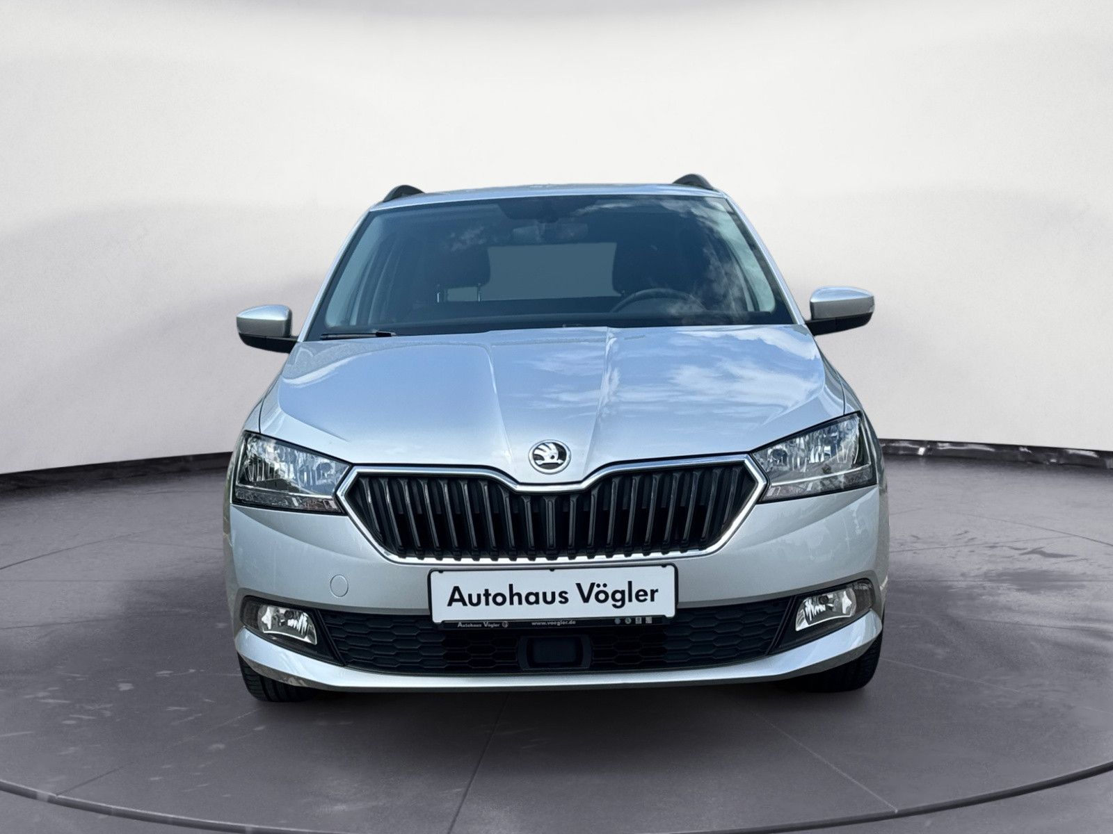 Fabia Combi CLEVER CarPlay AHK ACC Sitzheizung