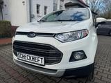 Ford EcoSport Titanium/1.Hand/Navi/Kamera/ - Ford EcoSport in Dortmund