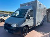 Fiat FIAT DUCATO TRASPORTO CAVALLI - gebrauchte Fiat Ducato aus dem Jahr 2006
